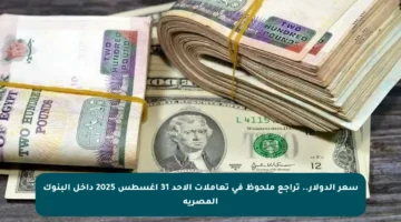سعر الدولار.. تراجع ملحوظ في تعاملات الأحد 31 أغسطس 2025 داخل البنوك المصرية